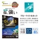 arrows We2 Plus F-51E 饹ե ʿݸ ֥롼饤ȥå  饬饹 0.33mm 10H ñŽդ   2 ץ饹 ݸե GGE4235ARWE2P 饹Хʥ