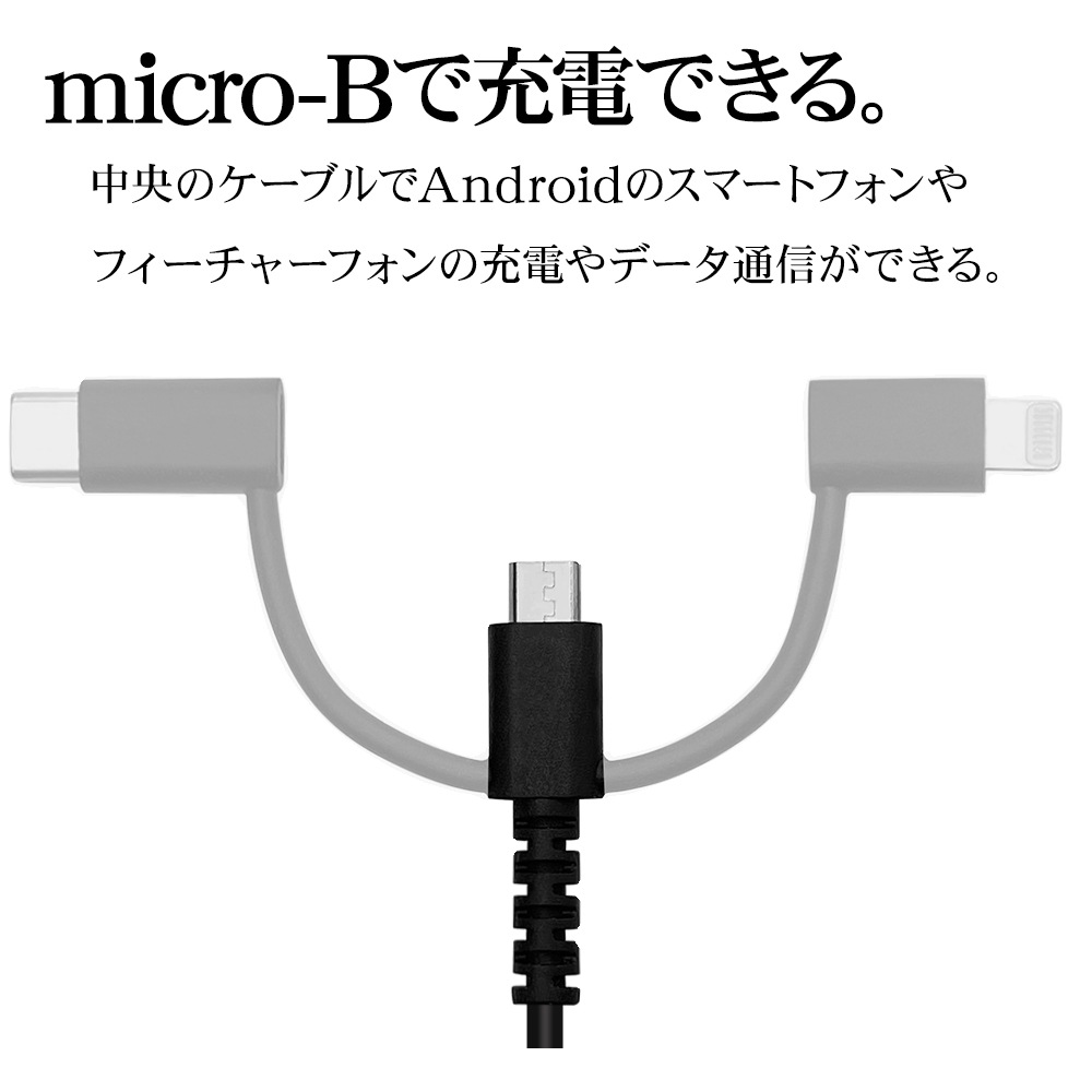 iPhone iPad iPod ޥ ֥å A ޥB֥ 餫 1᡼ȥ 饤ȥ˥Ѵ CѴ  ̿ USB Type-A microUSB Lightning Type-C typec 3A 1 ֥å R10CAAMLC3A01BK
