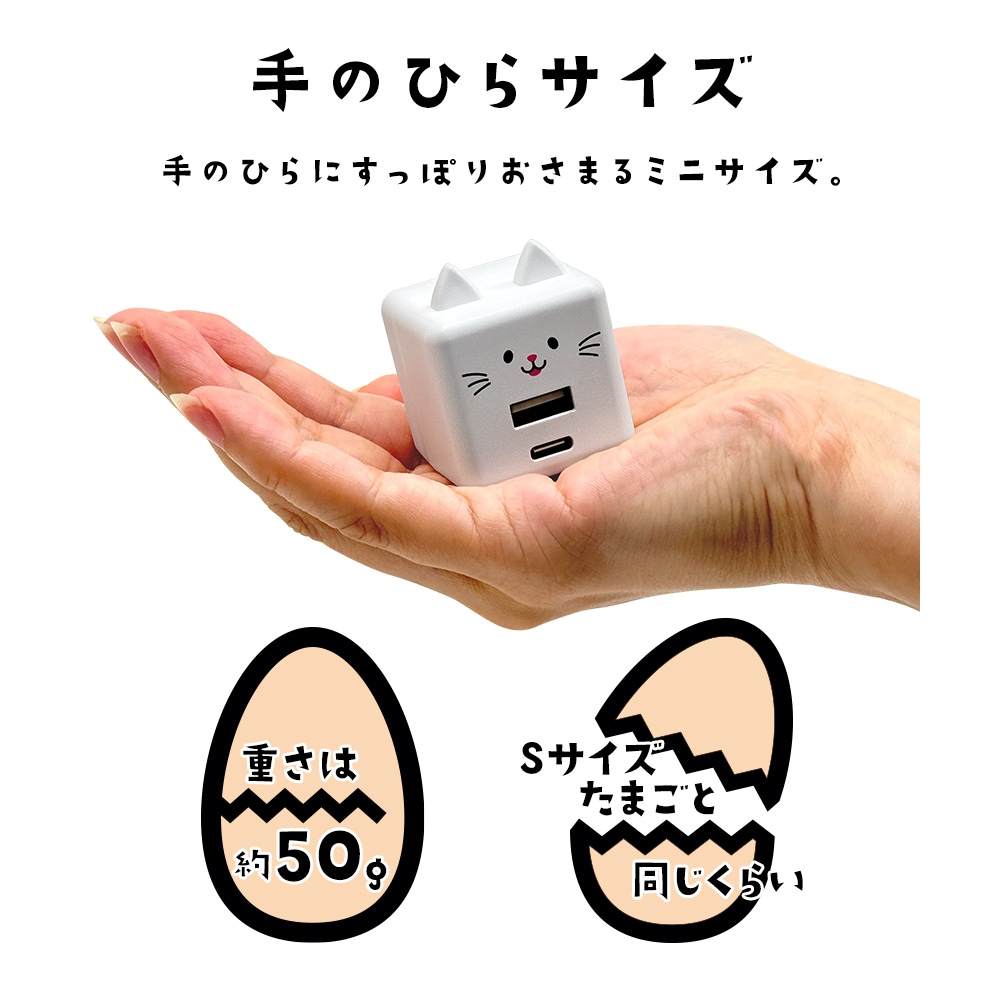 Фˤ㡼 Ŵ ACץ USBŴ 2ݡPDб ѥǥХ꡼ C 20å A 2.4ڥ 󥻥 AC USB Type-C Power Delivery 20W Type-A 2.4A Х˥㡼  RACCA20W03MCC 饹Хʥ