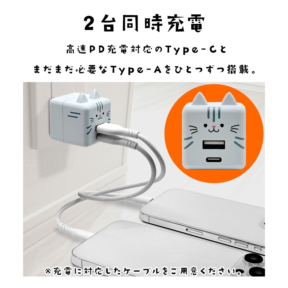 Фˤ㡼 Ŵ ACץ USBŴ 2ݡPDб ѥǥХ꡼ C 20å A 2.4ڥ 󥻥 AC USB Type-C Power Delivery 20W Type-A 2.4A Х˥㡼  RACCA20W03RIN 饹Хʥ