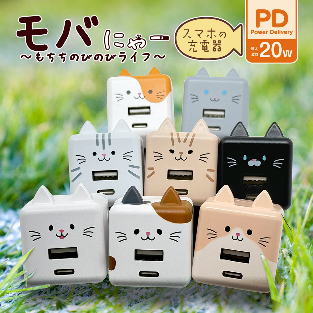 Фˤ㡼 Ŵ ACץ USBŴ 2ݡPDб ѥǥХ꡼ C 20å A 2.4ڥ 󥻥 AC USB Type-C Power Delivery 20W Type-A 2.4A Х˥㡼  RACCA20W03RIN 饹Хʥ