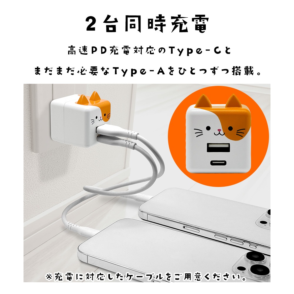 ��Фˤ㡼 ���Ŵ� AC�����ץ��� USB���Ŵ� 2�ݡ���PD�б� �ѥ�ǥ�Х꡼ ������C 20��å� ������A 2.4����ڥ� ���󥻥�� AC USB Type-C Power Delivery 20W Type-A 2.4A ��Х˥㡼 �쥪 RACCA20W03LEO �饹���Хʥ�