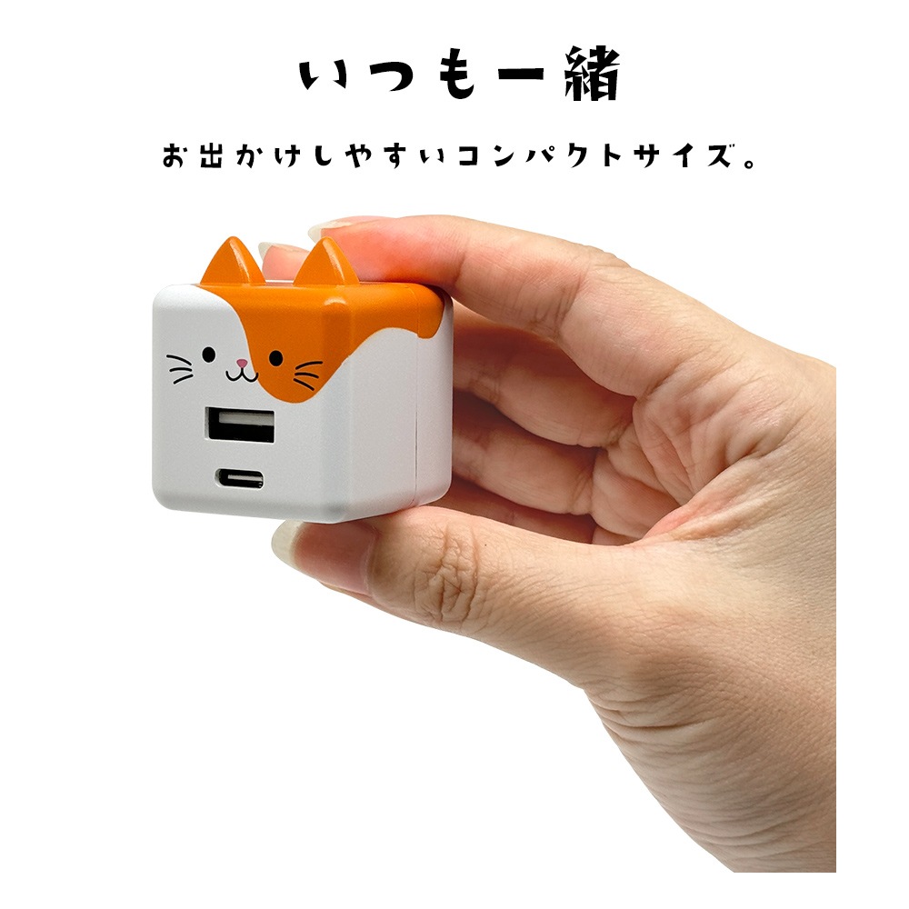 ��Фˤ㡼 ���Ŵ� AC�����ץ��� USB���Ŵ� 2�ݡ���PD�б� �ѥ�ǥ�Х꡼ ������C 20��å� ������A 2.4����ڥ� ���󥻥�� AC USB Type-C Power Delivery 20W Type-A 2.4A ��Х˥㡼 �쥪 RACCA20W03LEO �饹���Хʥ�