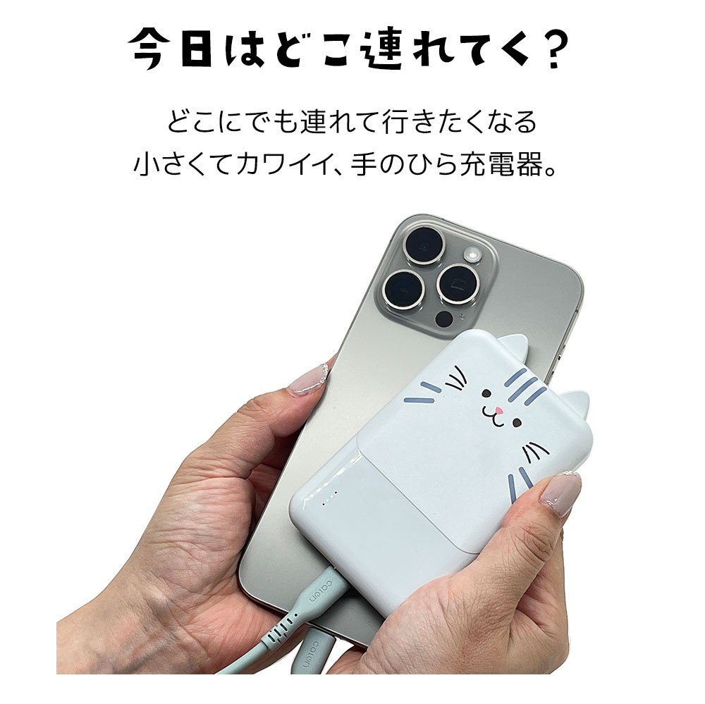 ��Фˤ㡼 ��Х���Хåƥ꡼ ��Х˥㡼 iPhone iPad ���ޥ� ���֥�å� ���Ǥ��� 5000mAh ������C 1�ݡ��� ������A 2�ݡ��� 2.1A USB Type-C typec Type-A ��� ���� ������ ���������ǽ 3��Ʊ������ RLI050C2A01RIN 