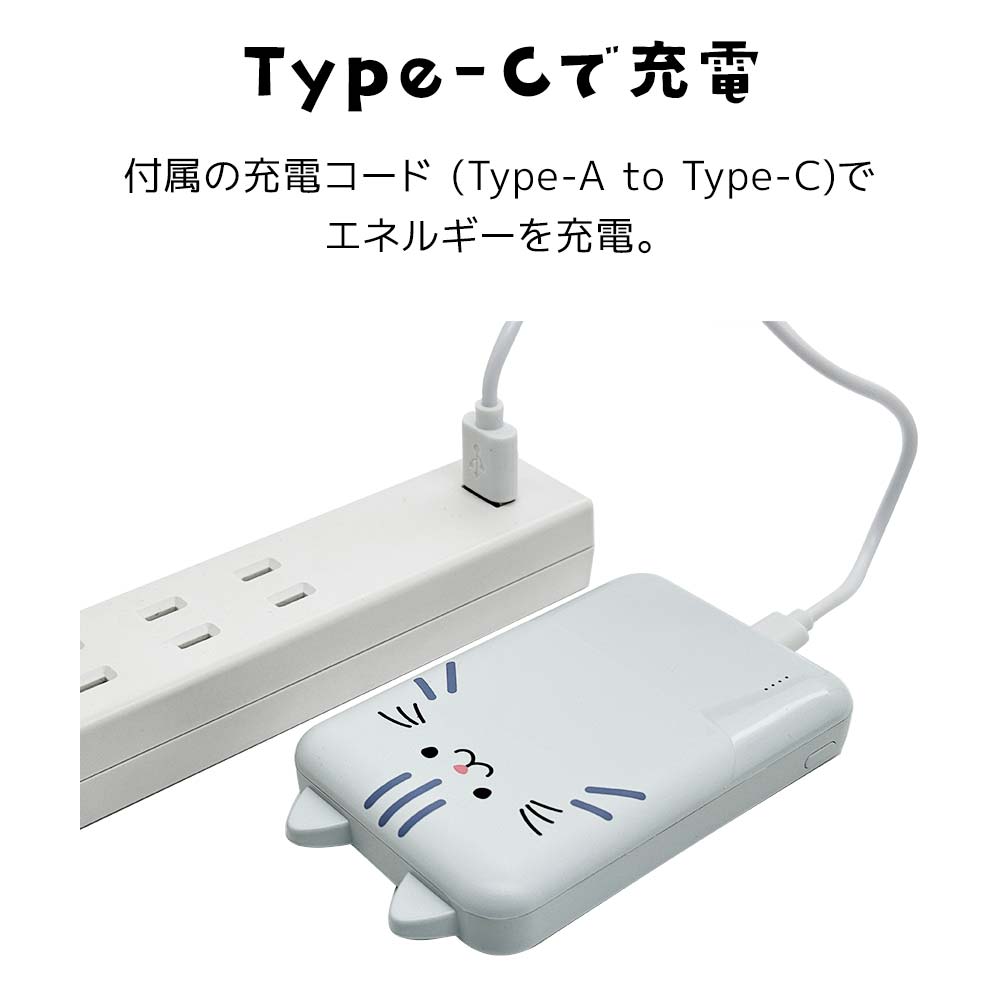 ��Фˤ㡼 ��Х���Хåƥ꡼ ��Х˥㡼 iPhone iPad ���ޥ� ���֥�å� ���Ǥ��� 5000mAh ������C 1�ݡ��� ������A 2�ݡ��� 2.1A USB Type-C typec Type-A ��� ���� ������ ���������ǽ 3��Ʊ������ RLI050C2A01RIN 