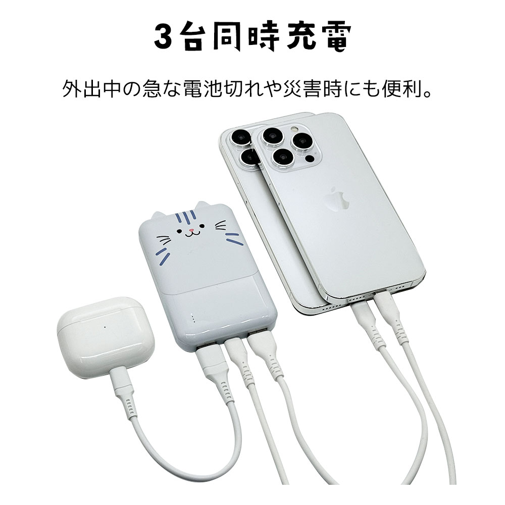 ��Фˤ㡼 ��Х���Хåƥ꡼ ��Х˥㡼 iPhone iPad ���ޥ� ���֥�å� ���Ǥ��� 5000mAh ������C 1�ݡ��� ������A 2�ݡ��� 2.1A USB Type-C typec Type-A ��� ���� ������ ���������ǽ 3��Ʊ������ RLI050C2A01RIN 