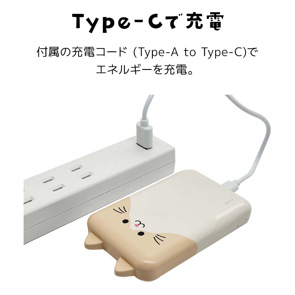 Фˤ㡼 ХХåƥ꡼ Х˥㡼 iPhone iPad ޥ ֥å Ǥ 5000mAh C 1ݡ A 2ݡ 2.1A USB Type-C typec Type-A    ǽ 3Ʊ RLI050C2A01ART 