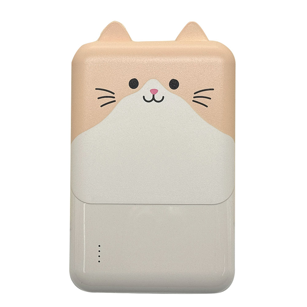 Фˤ㡼 ХХåƥ꡼ Х˥㡼 iPhone iPad ޥ ֥å Ǥ 5000mAh C 1ݡ A 2ݡ 2.1A USB Type-C typec Type-A    ǽ 3Ʊ RLI050C2A01ART 