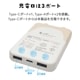 Фˤ㡼 ХХåƥ꡼ Х˥㡼 iPhone iPad ޥ ֥å Ǥ 5000mAh C 1ݡ A 2ݡ 2.1A USB Type-C typec Type-A    ǽ 3Ʊ RLI050C2A01ART 