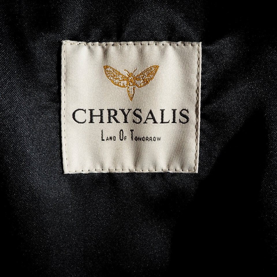 R3541P) CHRYSALIS ꥵꥹ  LAND OF TOMORROW