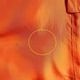 P8150P) DRIES VAN NOTEN