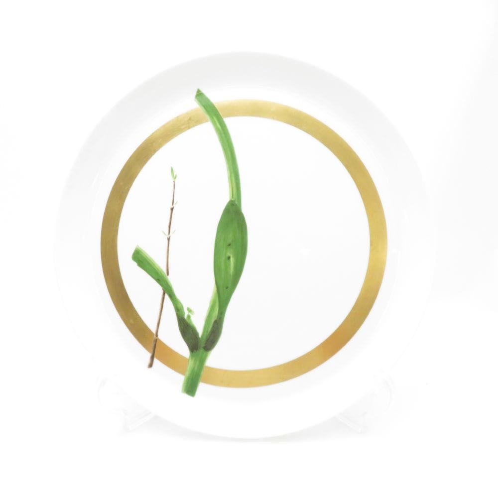 RAYNAUD レイノーリモージュ ベルデュラス 大皿 1枚 32cmプレート 飾り皿 SC8464J1 【中古】