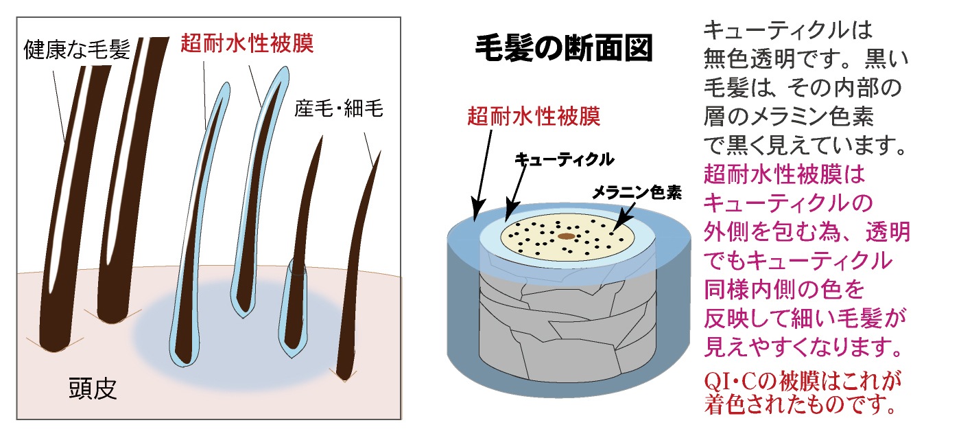 Ӻޡڰʡۡإɥ饤ɥ饤 åѥ 50mL    ȴͽ  ץ졼  AGA ߷æӾ