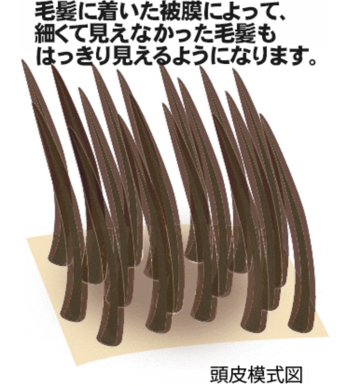  Ӻ ȯ¥ʺޡإɥ饤ɥ饤 50mL  ȯ¥   ȴͽ   Ƭ 