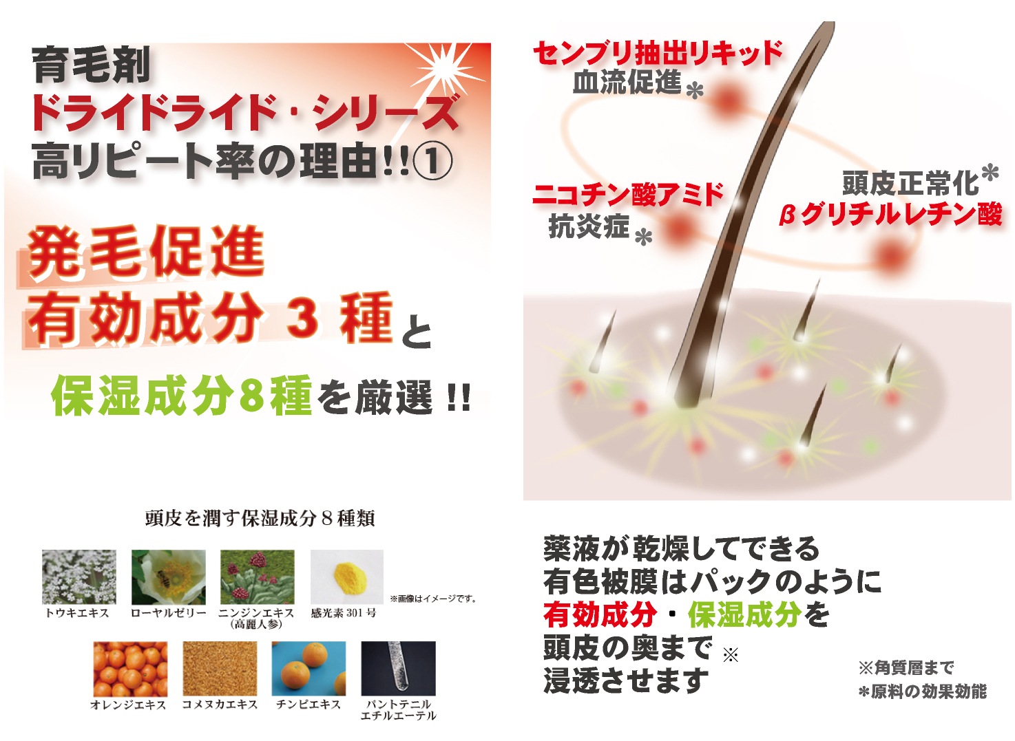 ȯ¥ʺޡإɥ饤ɥ饤 ե 120mL45ͰѤQZ꡼˿ȯ¥ʺޤо졪ޤƤ뻺ӡӤƨʤ ȴͽ к դ   ѡ