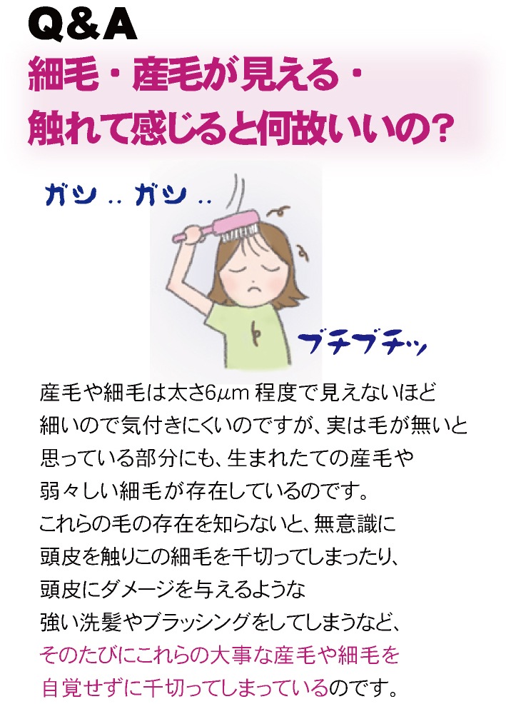 ȯ¥ʺޡإɥ饤ɥ饤 ե 120mL45ͰѤQZ꡼˿ȯ¥ʺޤо졪ޤƤ뻺ӡӤƨʤ ȴͽ к դ   ѡ