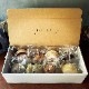  KOAKARI8BOXʥ8BOX