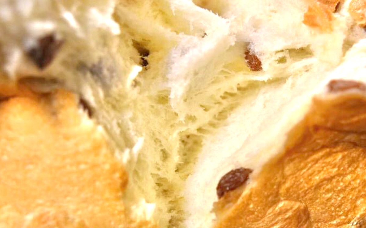 ŹƬϤͽ򤫹֥졼󿩥ѥ1.5ԡˡ