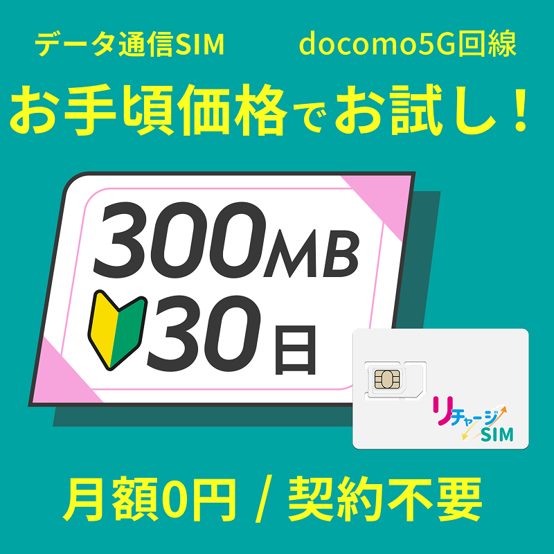リチャージWiFi 残り98.5GB リチャージカード_30ギガ_365日_リチャージWiFi専用ギフトカード【MR1
