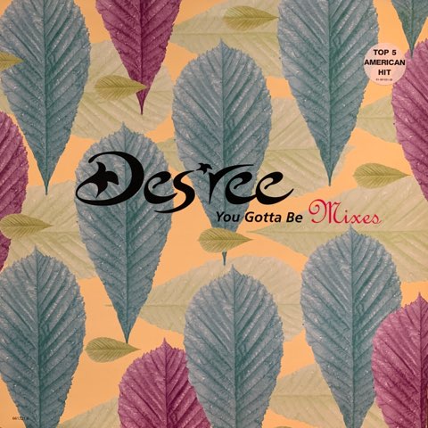 You Gotta Be (Mixes) / Des'ree ｜ RECORD STATION ｜ レコード
