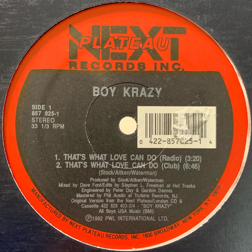 Boy Krazy That's What Love Can Do (12")