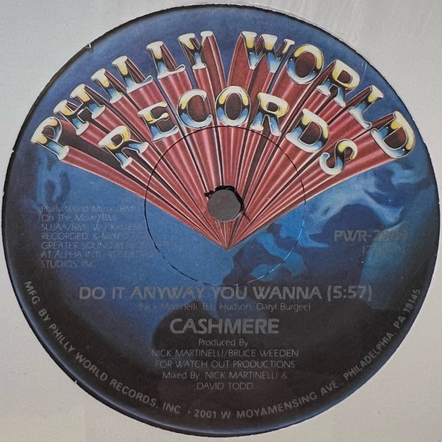 Cashmere<span>Do It Anyway You Wanna (12