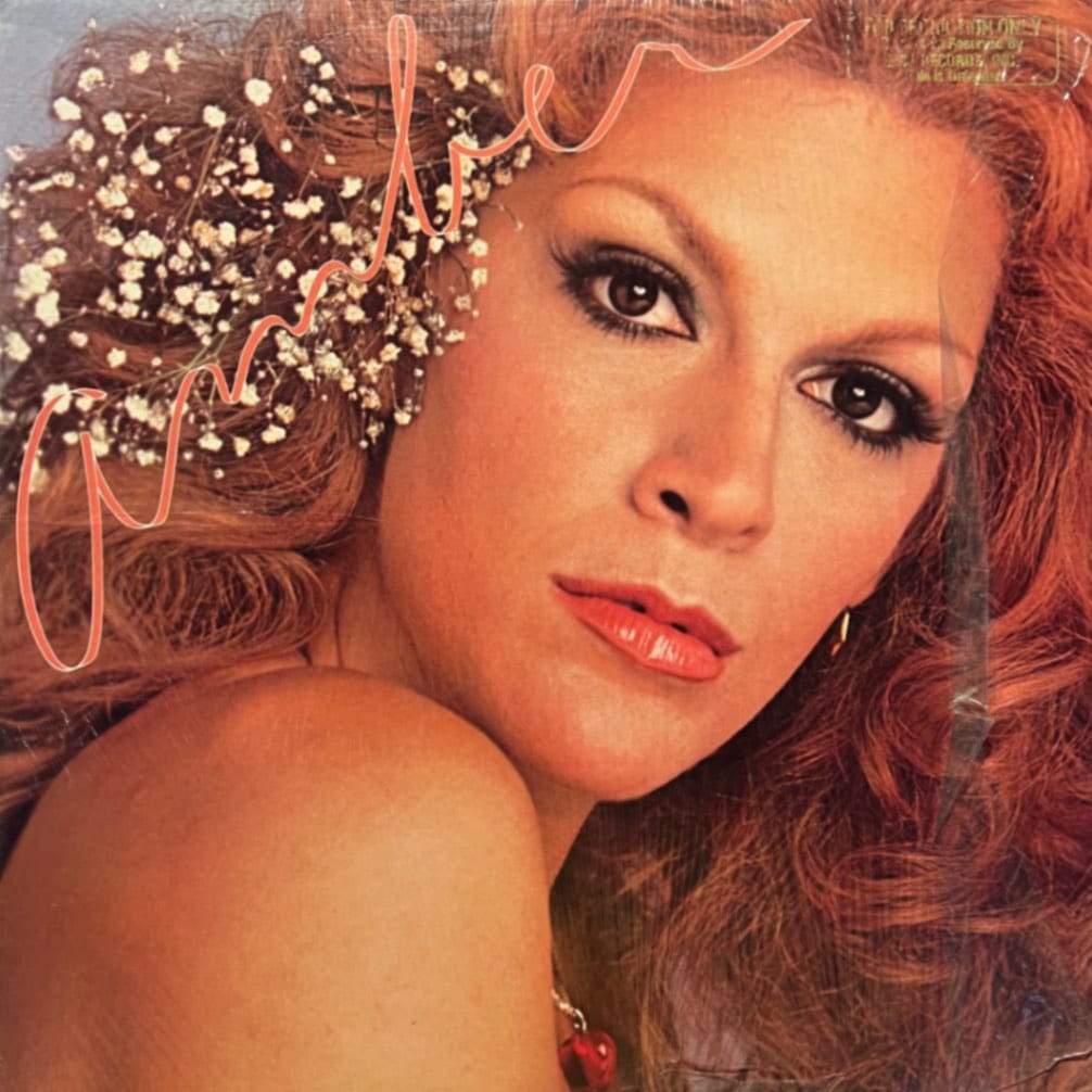 Amber DiLena<span>Amber (LP)</span>