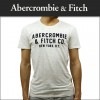 アバクロ Tシャツ 正規品 Abercrombie＆Fitch 半袖Tシャツ  APPLIQUE GRAPHIC TEE 123-238-2178-110 A02B B1C C1D D1E E02F|