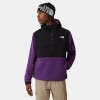 ノースフェイス デナリ メンズ 正規品 THE NORTH FACE アノラックジャケット フリースジャケット DENALI 2 ANORAK FLEECE JACKET - EU NF0A4QYN 