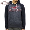 ホリスター パーカー メンズ 正規品 HOLLISTER プルオーバーパーカー Logo Graphic Hoodie 322-226-0125-202 A03B B1C C1D D5E E06F|M