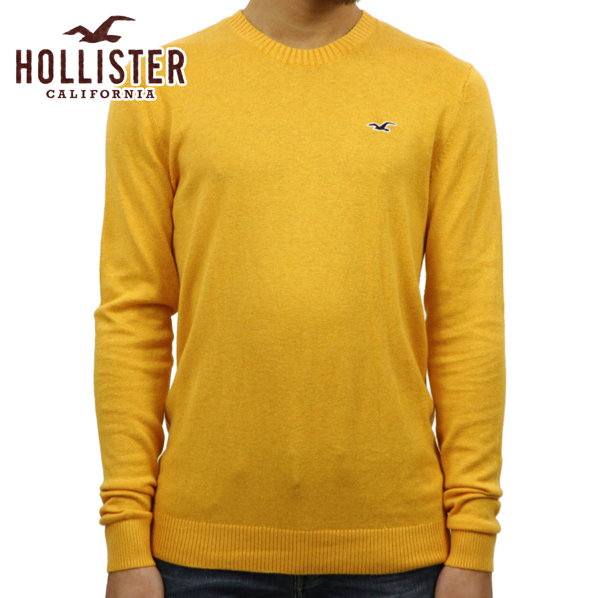 ホリスター セーター メンズ 正規品 HOLLISTER クルーネックセーター 