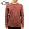 ホリスター ロンT メンズ 正規品 HOLLISTER 長袖Tシャツ クルーネックTシャツ Garment-Dye Graphic Tee 323-243-2606-520|MEN’S TEE|HOL