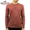 ۥꥹ T   HOLLISTER ĹµT 롼ͥåT Garment-Dye Graphic Tee 323-243-2606-520