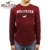 ۥꥹ T   HOLLISTER ĹµT 롼ͥåT  Logo Graphic Tee 323-248-0234-520 A03B B1C C1D D2E E11F