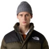 ノースフェイス メンズ レディース ニットキャップ 正規品 THE NORTH FACE ロゴ ニット帽 ビーニー 海外限定 TNF FISHERMAN BEANIE NF0A55JG DYY TNF