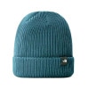 ノースフェイス メンズ レディース ニットキャップ 正規品 THE NORTH FACE ロゴ ニット帽 ビーニー 海外限定 TNF FISHERMAN BEANIE NF0A55JG BQ5 SPA