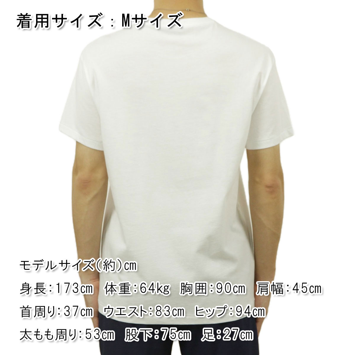 �ݥ� ���ե������ ��� ȾµT����� ������ POLO RALPH LAUREN ���롼�ͥå� �ݥ��٥� BEAR SHORT SLEEVE T-SHIRT WHITE 710854497