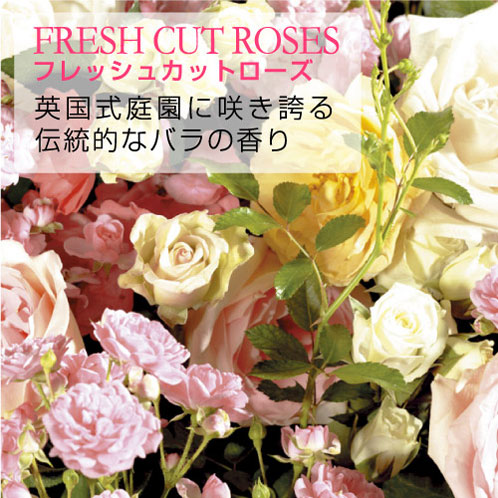 󥭡ɥ YANKEE CANDLE Ź YC㡼M FC YK0040503 4901435937632 A49B B3C C9D D2E E00F