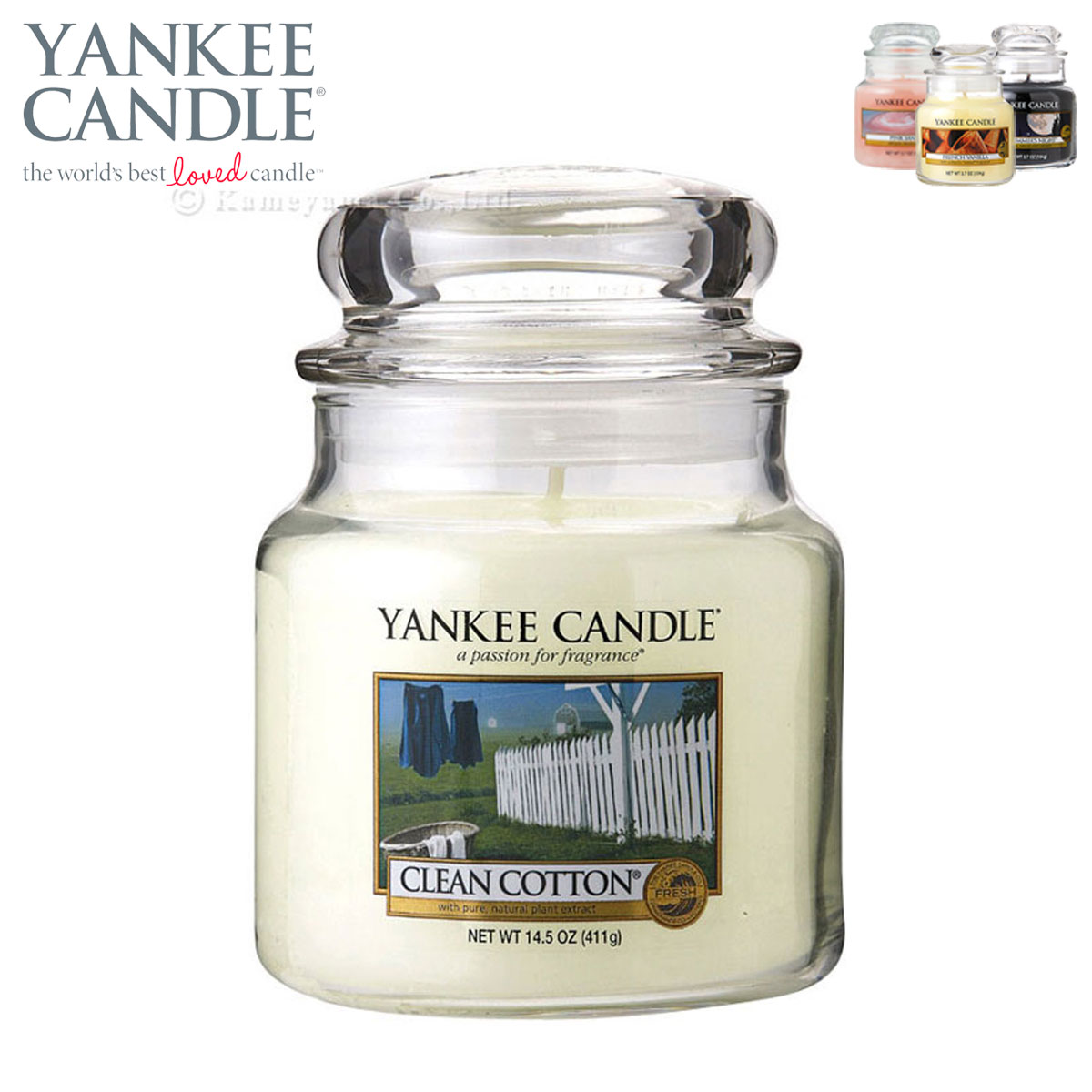󥭡ɥ YANKEE CANDLE Ź YC㡼M ꡼󥳥åȥ YK0040501 4901435937656 A49B B3C C9D D2E E00F