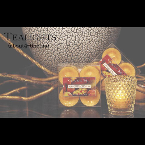 󥭡ɥ YANKEE CANDLE Ź YCƥ饤ȥ PKե YK5000004 4901435889023 A49B B3C C9D D2E E00F