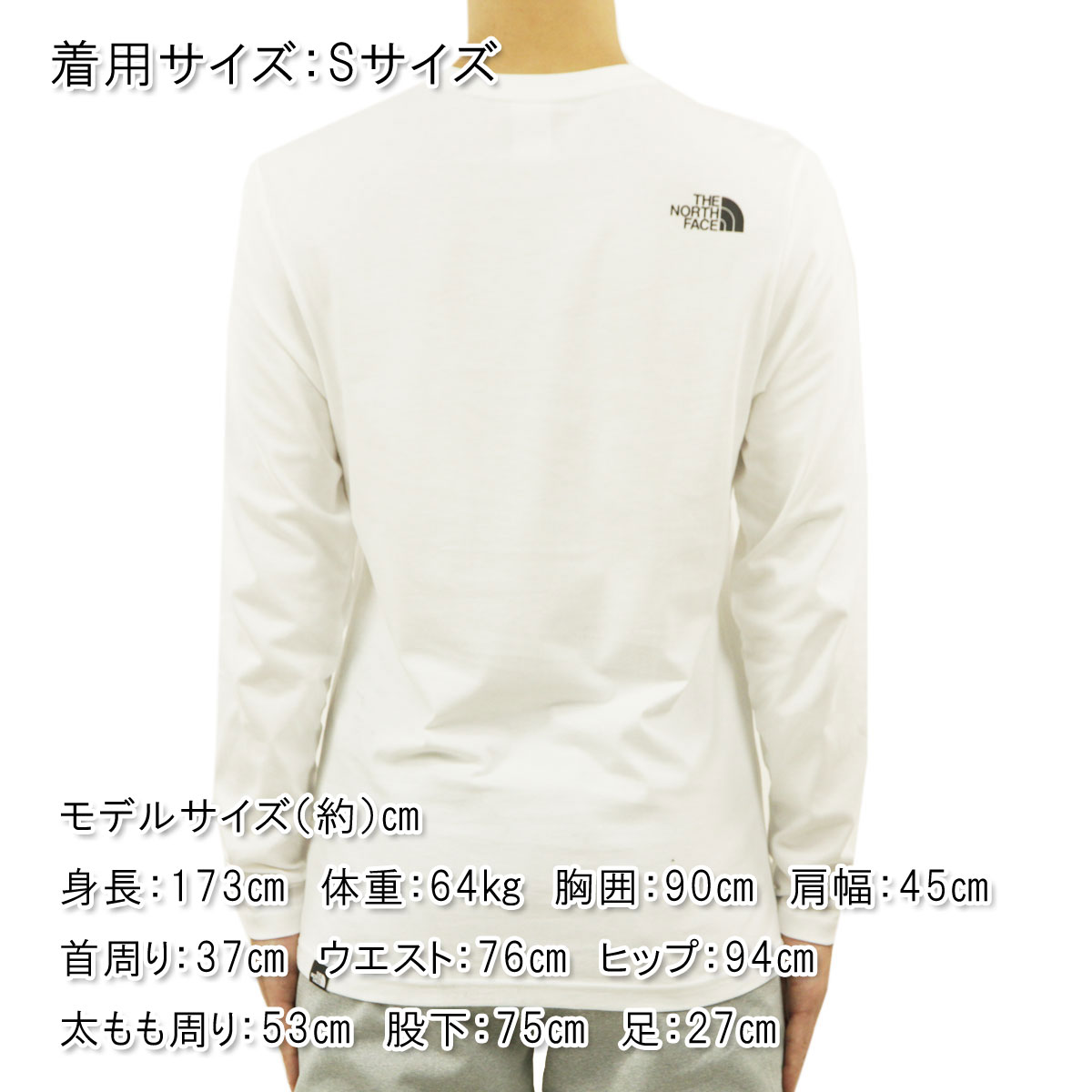 �Ρ����ե����� ����T ��� ������ THE NORTH FACE �ȥåץ� ĹµT����� ���� L/S FINE TEE NF0A37FT FN4 TNF WHITE A14B B1C C1D D2E E01F