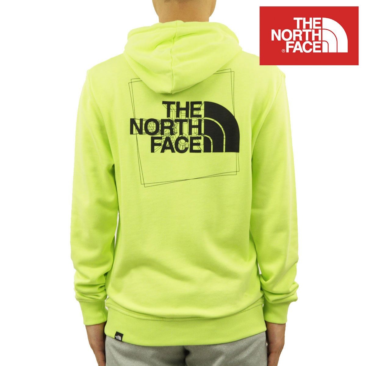 �Ρ����ե����� �ѡ����� ��� ������ THE NORTH FACE �Хå��ץ��� �ץ륪���С��ѡ����� COORDINATES PULLOVER HOODIE - EU NF0A5IG8 HDD HARP GREEN A14B B1C C1D D5E E08F