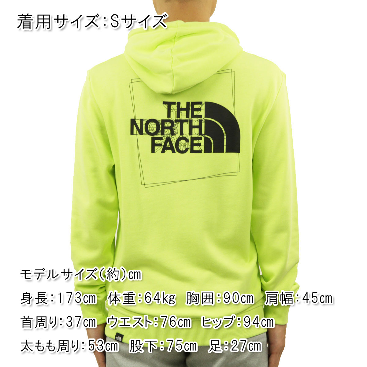 �Ρ����ե����� �ѡ����� ��� ������ THE NORTH FACE �Хå��ץ��� �ץ륪���С��ѡ����� COORDINATES PULLOVER HOODIE - EU NF0A5IG8 HDD HARP GREEN A14B B1C C1D D5E E08F
