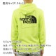�Ρ����ե����� �ѡ����� ��� ������ THE NORTH FACE �Хå��ץ��� �ץ륪���С��ѡ����� COORDINATES PULLOVER HOODIE - EU NF0A5IG8 HDD HARP GREEN A14B B1C C1D D5E E08F