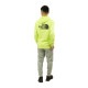 �Ρ����ե����� �ѡ����� ��� ������ THE NORTH FACE �Хå��ץ��� �ץ륪���С��ѡ����� COORDINATES PULLOVER HOODIE - EU NF0A5IG8 HDD HARP GREEN A14B B1C C1D D5E E08F