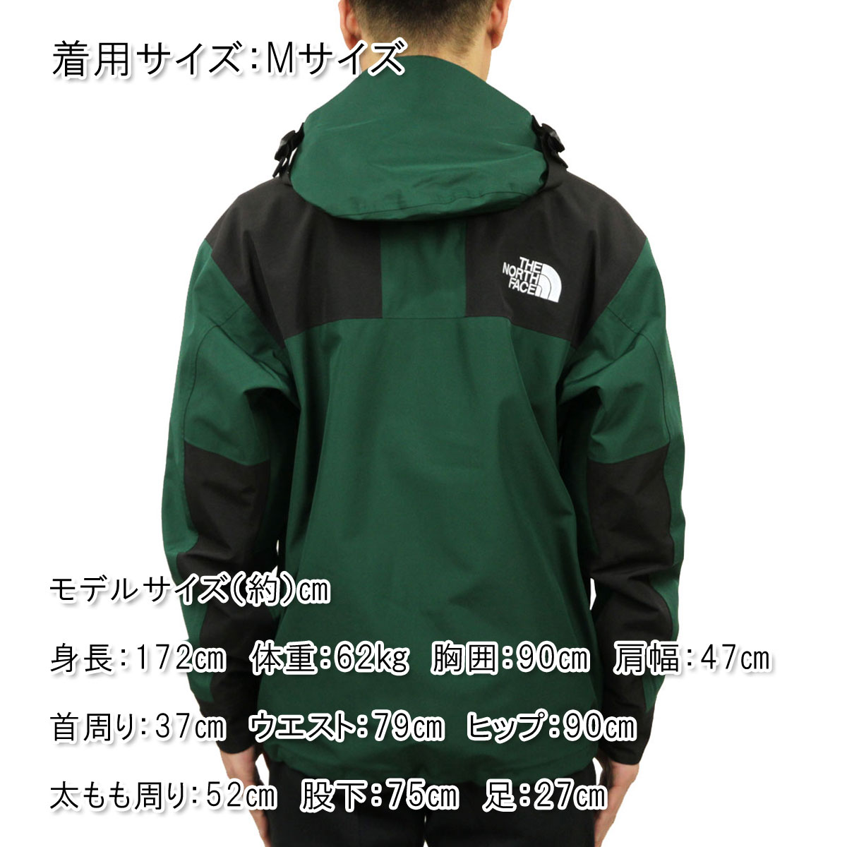 the north face 1990 mountain jacket gtx