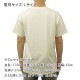 �ߥ塼���å��ƥ� ��� �Х��T����� ������ MUSIC TEE Ⱦµ ���å�T����� ���å������ԥ��ȥ륺 SEX PISTOLS BOLLOCKS DISTRESSED MUSIC ROCK TEE WHITE