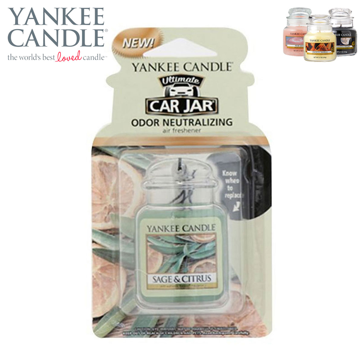 󥭡ɥ YANKEE CANDLE Ź 㡼 YCȎގ &Ď׎ (K3230505) A49B B3C C3D D0E E00F