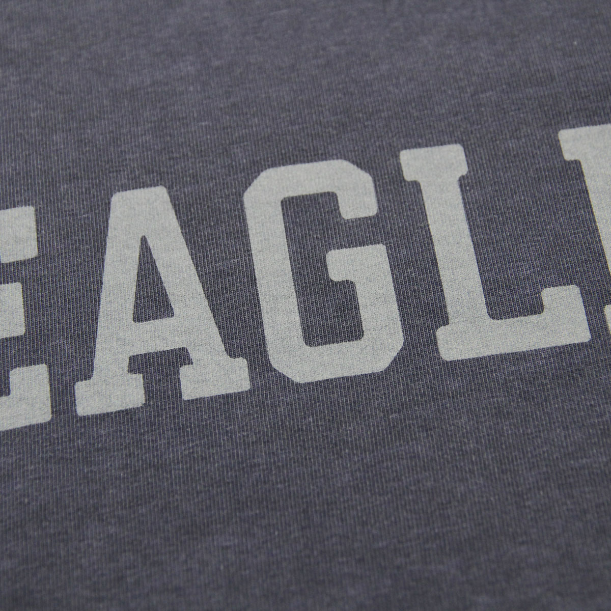 ����ꥫ�󥤡����� T����� ������ AMERICAN EAGLE ȾµT����� ���롼�ͥå�  AE GRAPHIC TEE 0181-3653-410 A04B B1C C1D D1E E06F