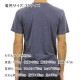 ����ꥫ�󥤡����� T����� ������ AMERICAN EAGLE ȾµT����� ���롼�ͥå�  AE GRAPHIC TEE 0181-3653-410 A04B B1C C1D D1E E06F